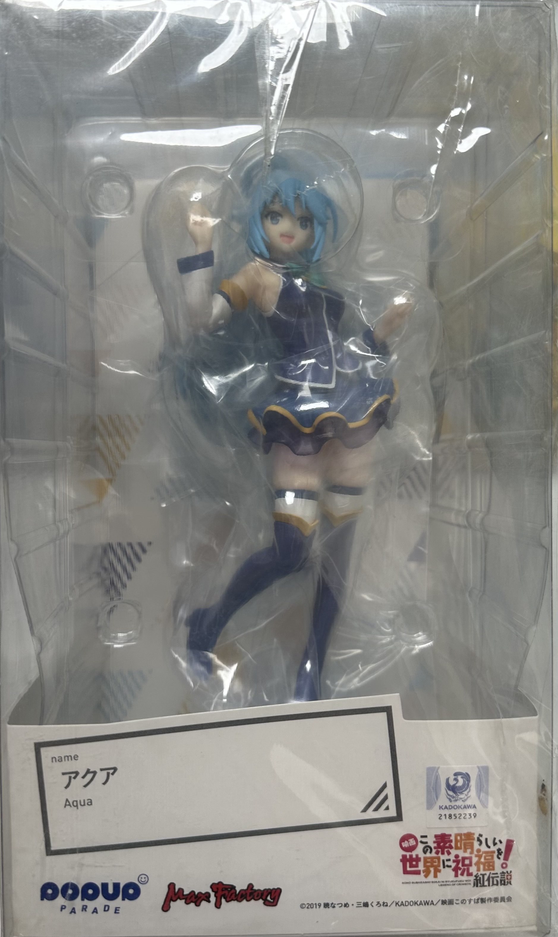 [POP UP] PARARED AQUA       