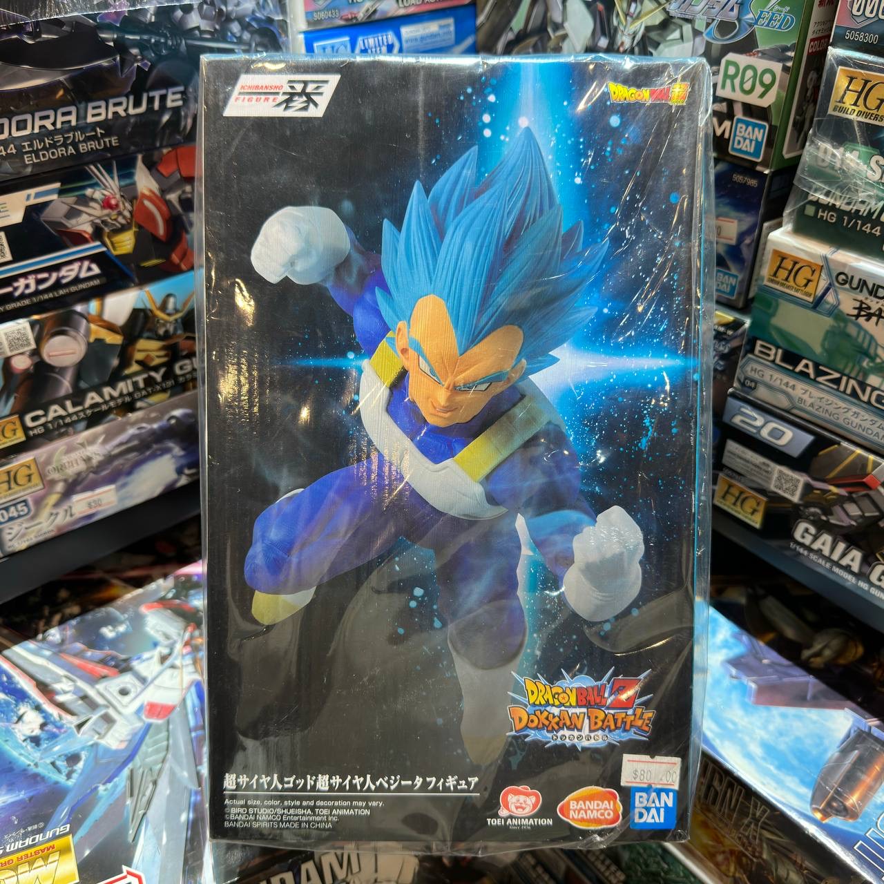 [Dragon Ball] Z Super Saiyan God Vegeta