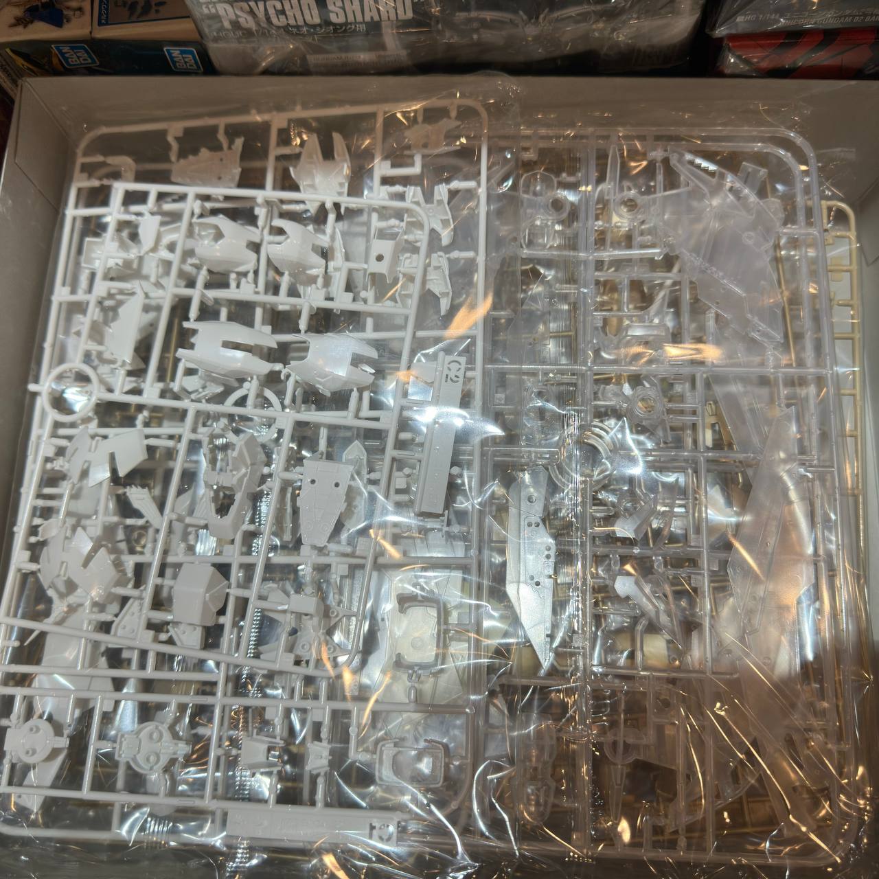 MG 1/100 OZ-13MS Gundam Epyon Ew