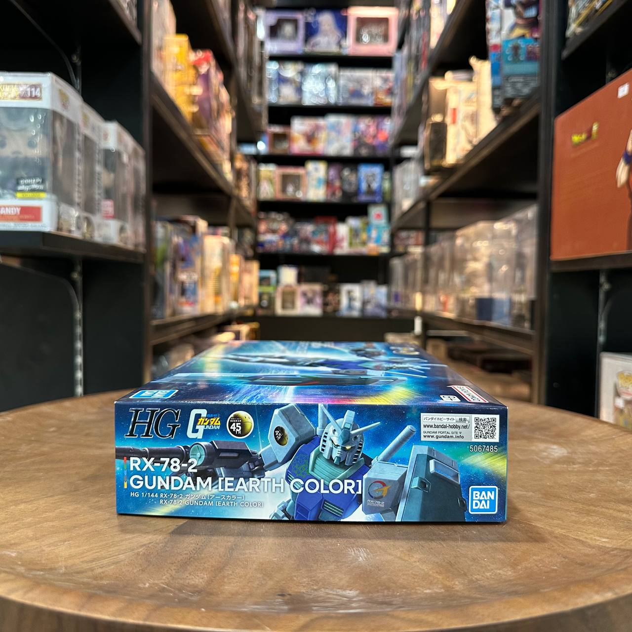 HG RX-78-2 Gundam Earth Color