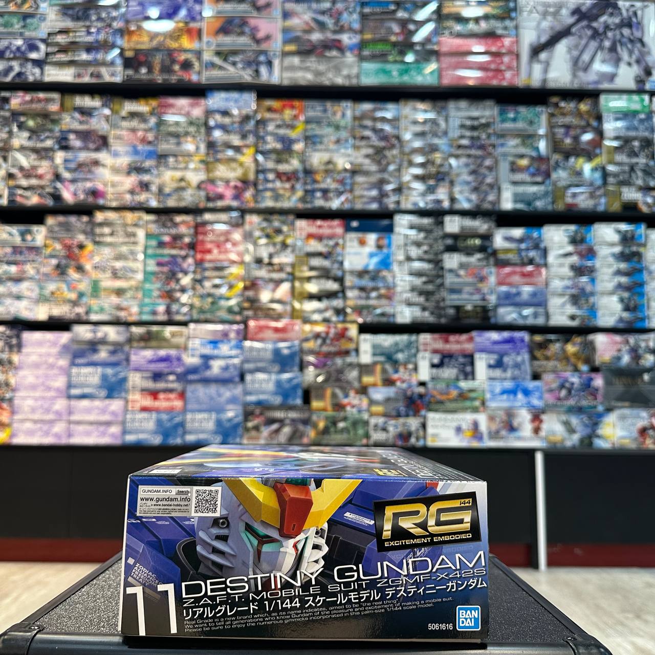 Bandai RG 1/144 Mobile Suit Gundam Seed DESTINY Destiny Gundam 11